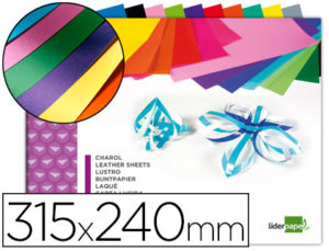 BLOC TRABAJOS MANUALES LIDERPAPEL CHAROL 240X315MM 10HOJAS COLORES SURTIDOS