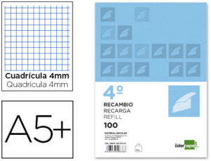 RECAMBIO LIDERPAPEL CUARTO APAISADO 100 H 2TCA-01 CUADRO 4 MM 2 TALADROS CON MARGEN