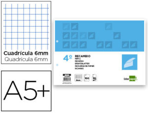 RECAMBIO LIDERPAPEL CUARTO APAISADO 100 H 2TCA-07 CUADRO 6 MM 2 TALADROS CON MARGEN