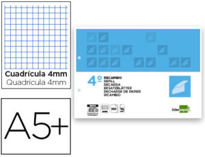 RECAMBIO LIDERPAPEL CUARTO APAISADO 100 H 2TCA-06 CUADRO 3 MM 2 TALADROS CON MARGEN