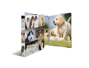 CARPETA 4 ANILLAS 25MM REDONDAS HERMA DIN A4 CARTON FORRADO DISEÑO PERROS