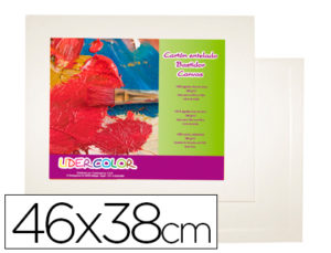 CARTON ENTELADO LIDERCOLOR 8F 100% FABRICADO EN ALGODON GROSOR 0,3 CM 46X38 CM