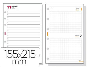 RECAMBIO AGENDA FINOCAM 1000 ANUALIDAD DIA PAGINA 155X215 MM TEXTO EN CATALAN