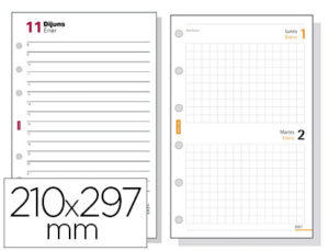 RECAMBIO AGENDA FINOCAM 4000 ANUALIDAD DIA PAGINA 210X297 MM TEXTO EN CATALAN