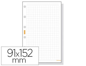 RECAMBIO AGENDA FINOCAM 400 CUADRICULA 91X152MM