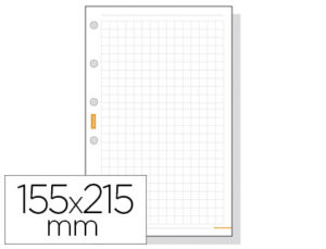 RECAMBIO AGENDA FINOCAM 1000 CUADRICULA 155X215 MM