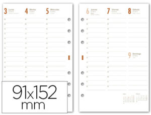RECAMBIO AGENDA FINOCAM C499-SEMANA A LA VISTA 91X152MM CATALAN