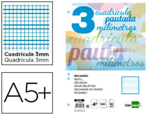 RECAMBIO LIDERPAPEL CUARTO PAUTAGUIA 100 HOJAS 70 G CUADRICULADO PAUTADO 3 MM CON MARGEN 6 TALADROS