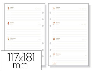 RECAMBIO AGENDA FINOCAM OPEN 500 ANUALIDAD SEMANA VISTA APAISADA 117X181 MM CATALAN