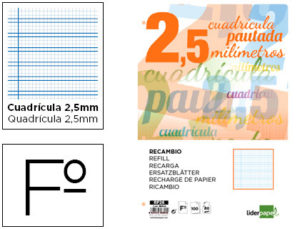 RECAMBIO LIDERPAPEL FOLIO PAUTAGUIA 100 HOJAS 75 G CUADRICULADO PAUTADO 2,5 MM CON MARGEN 4 TALADROS