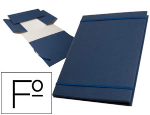 CARPETA PROYECTOS LIDERPAPEL EXTENSIBLE GOFRADA FOLIO