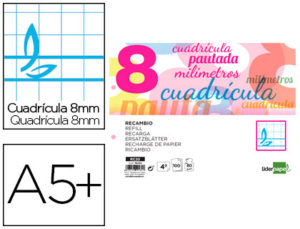 RECAMBIO LIDERPAPEL CUARTO PAUTAGUIA 100 HOJAS 70 G CUADRICULADO PAUTADO 8 MM CON MARGEN 2 TALADROS APAISADO
