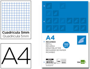 RECAMBIO LIDERPAPEL A4 100 HOJAS 100 G/M2 CUADRO 5 MM 4 TALADROS BANDAS DE 5 COLORES
